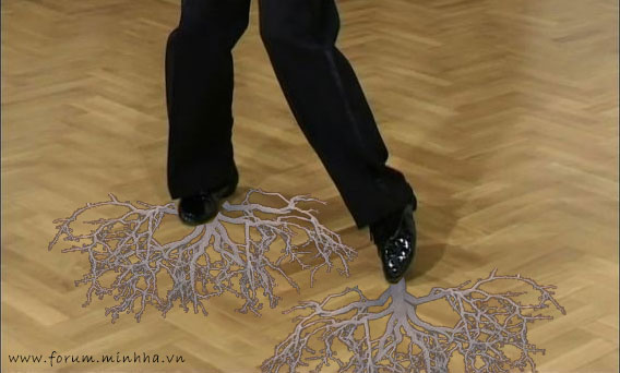 Ground.jpg