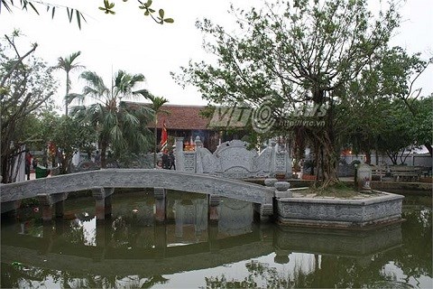 trang_trinh1.jpg