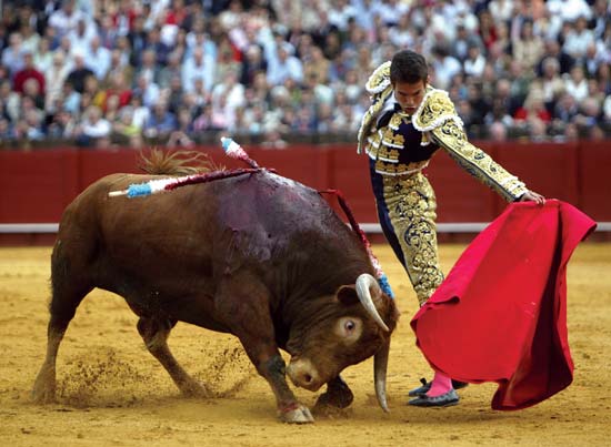 corrida.jpg