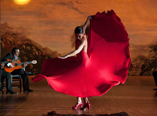 flamenco.jpg