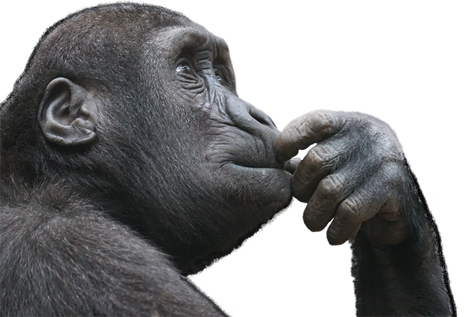 thinking.png